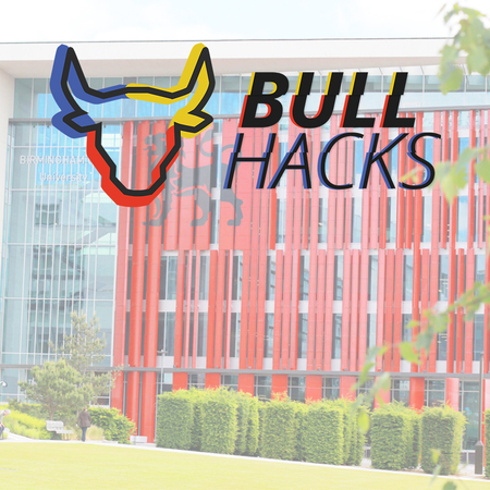 BullHacks background