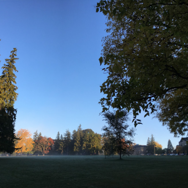 Guelph Hacks background