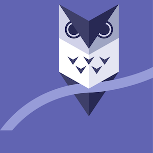 HackRice 8 background