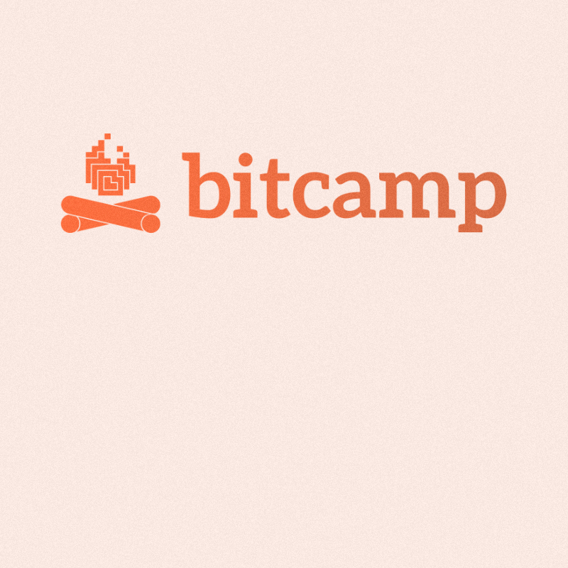Bitcamp background
