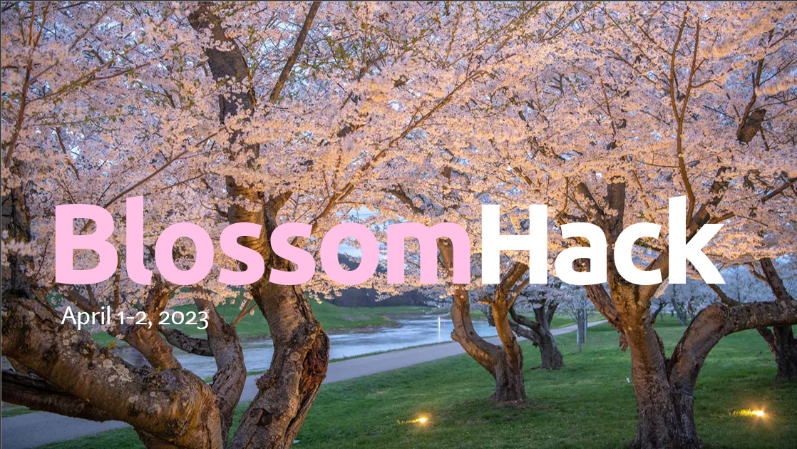 BlossomHack background