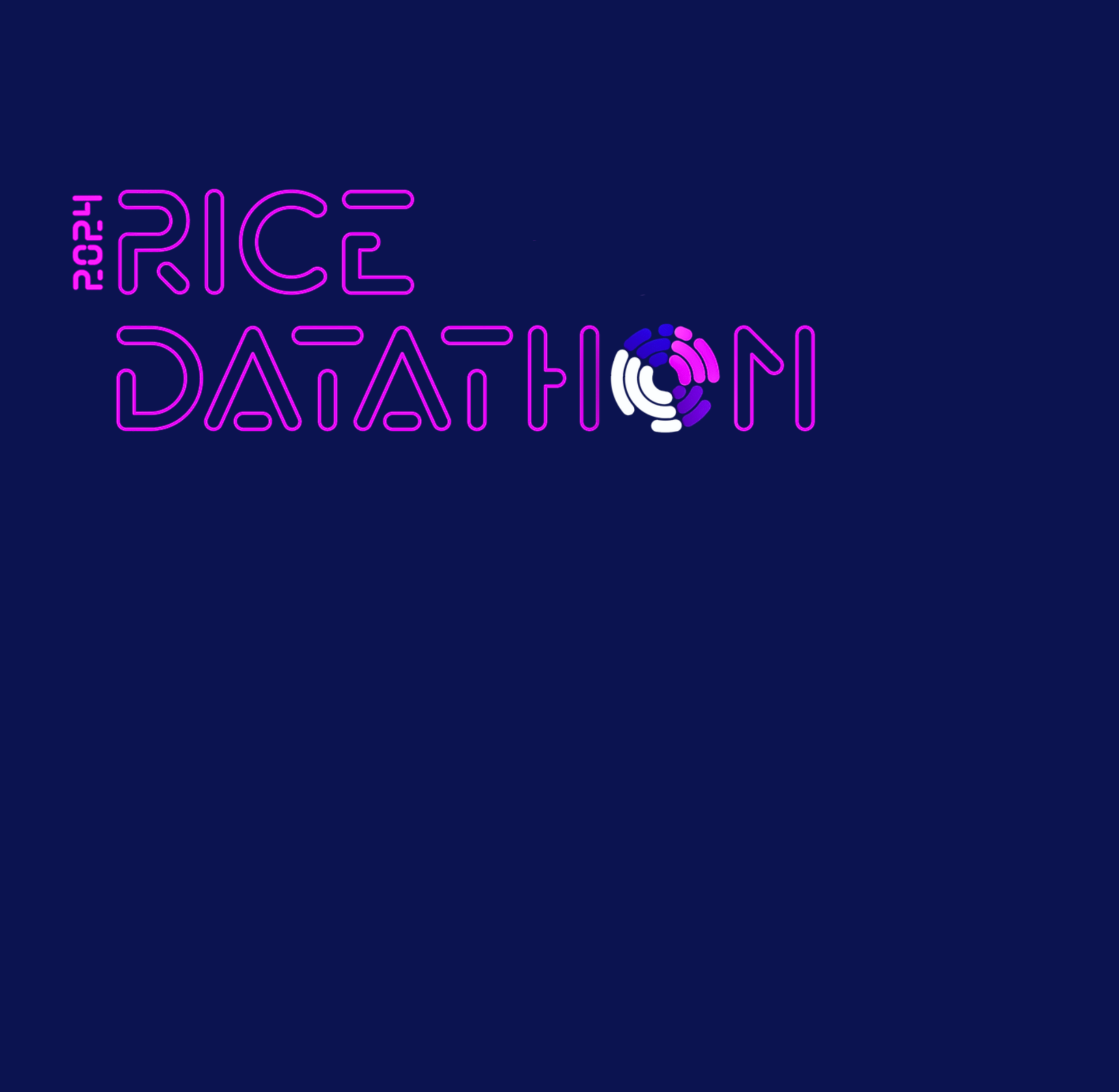 Rice Datathon 2024 background