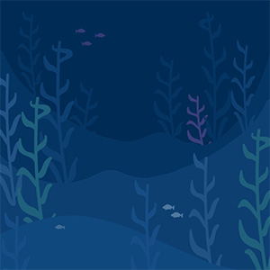 SB Hacks VIII background