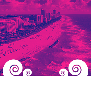 ShellHacks background