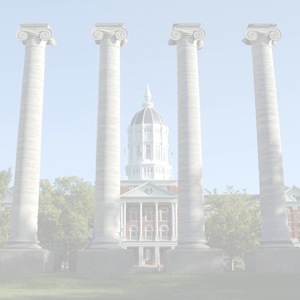 Tigerhacks background