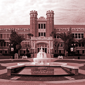 HackFSU background