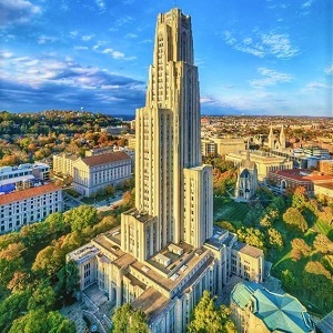 Pitt Challenge background