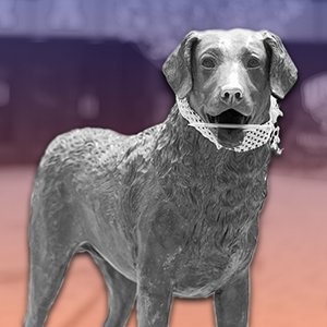 HackUMBC background