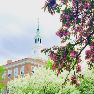 HackDartmouth III background