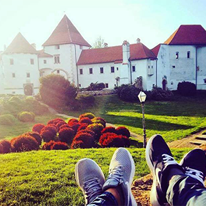 Ready, Steady, Code background