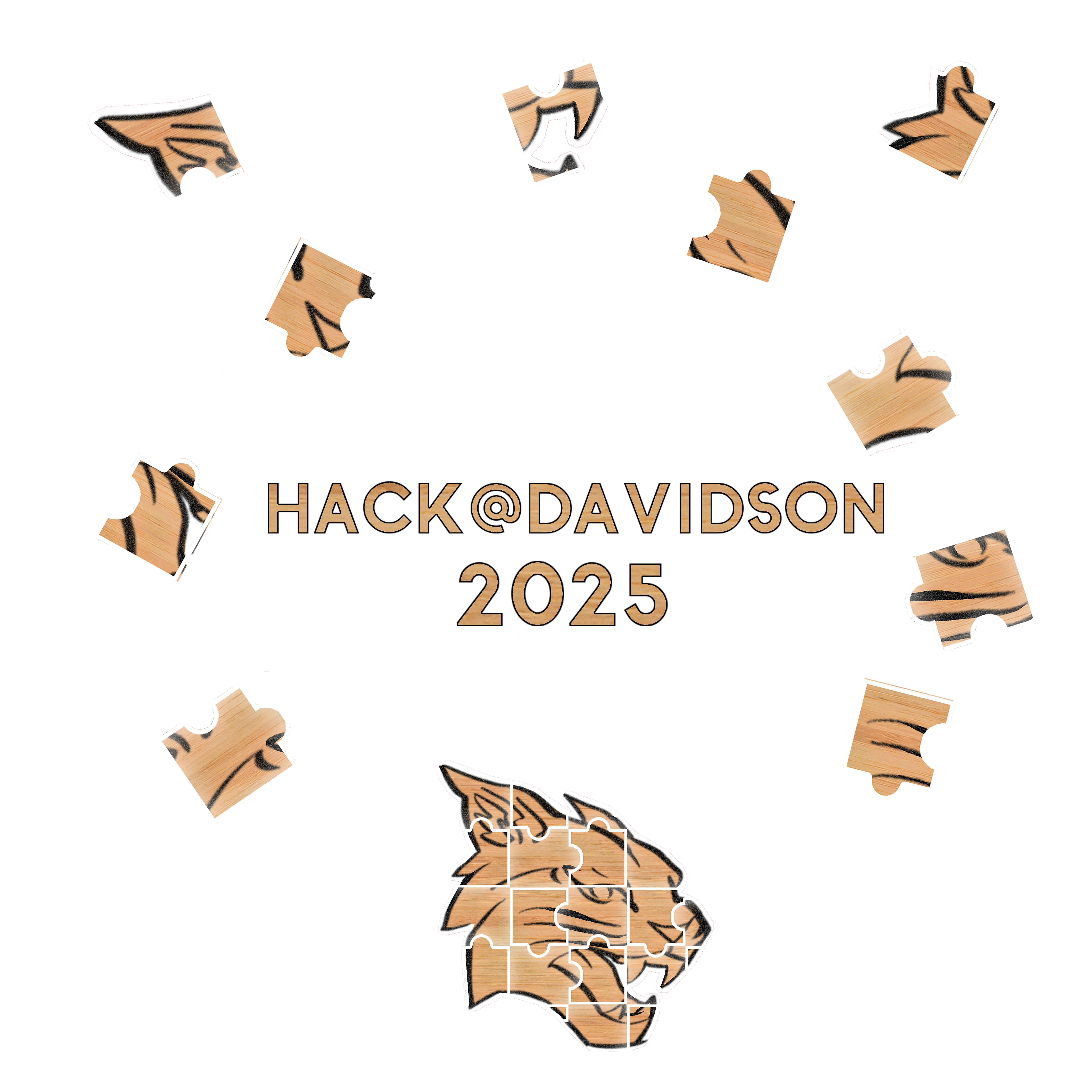Hack@Davidson background