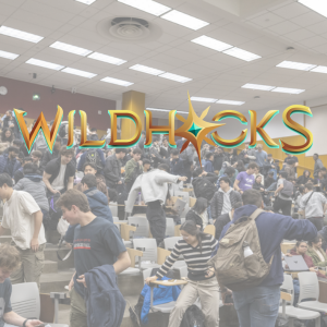 WildHacks background